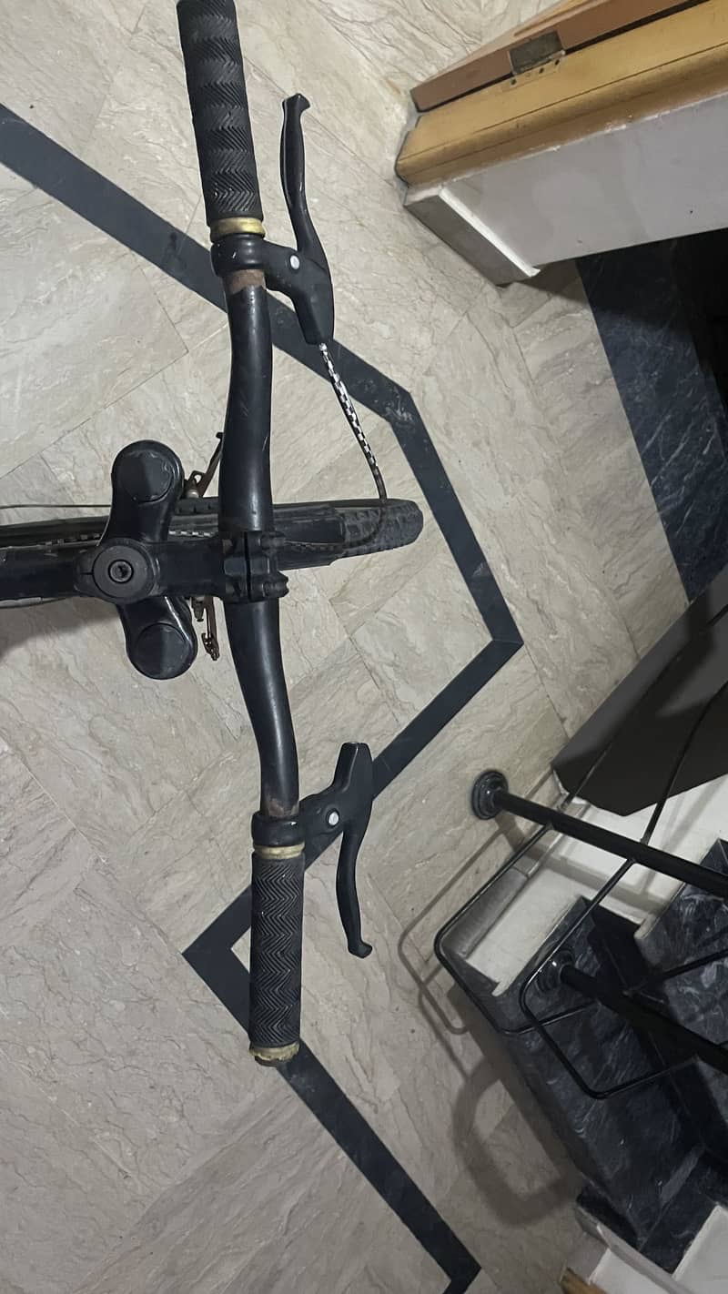 Bicycle 1