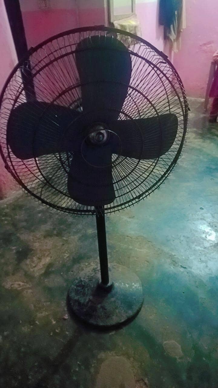 fannn 1