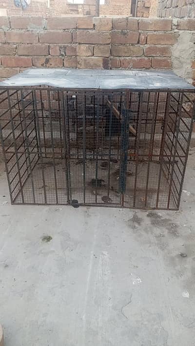 2 hen cages for sale