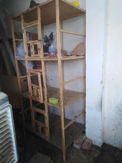cycle with pigeon with cage.  serious person contact