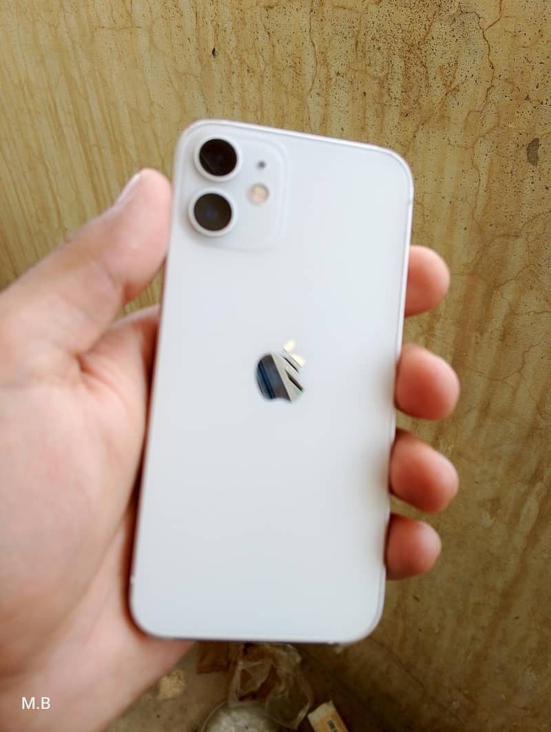 Apple iPhone 12 mini 1