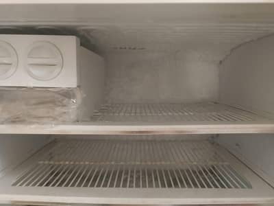 Fridge