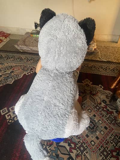 Big size dog