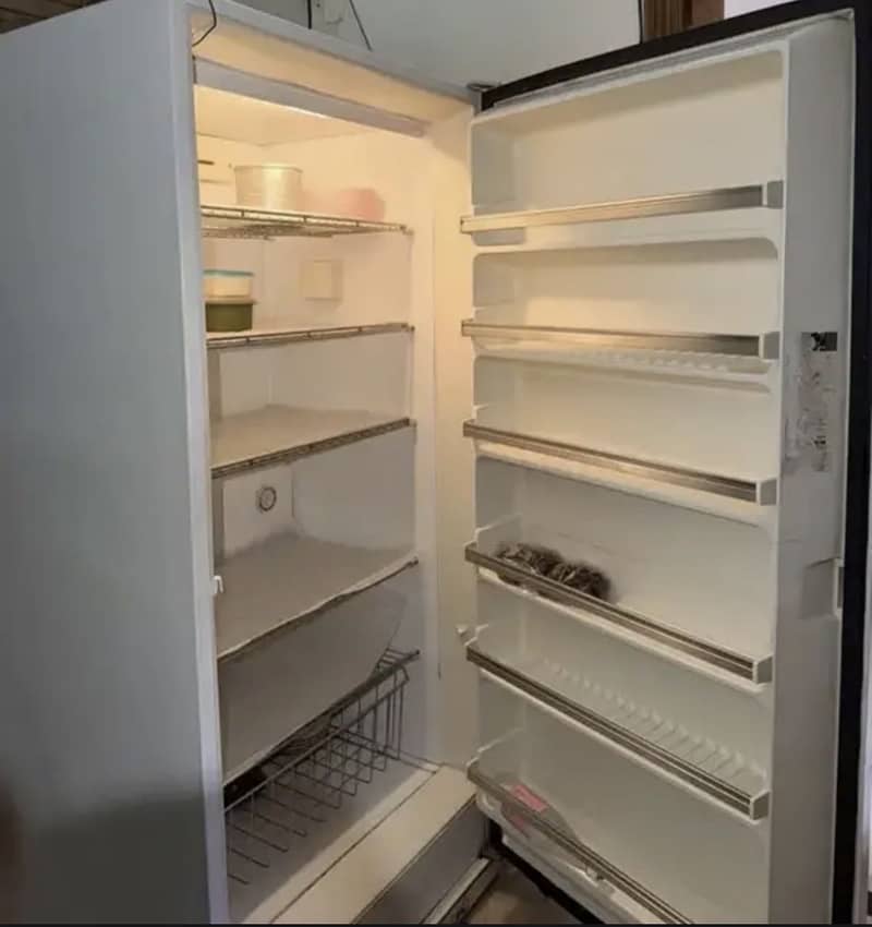 VERTICAL STANDING DEEP FREEZER 0