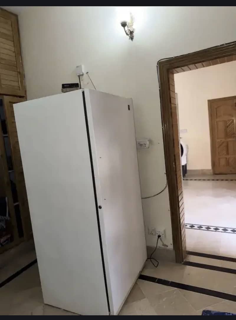 VERTICAL STANDING DEEP FREEZER 1