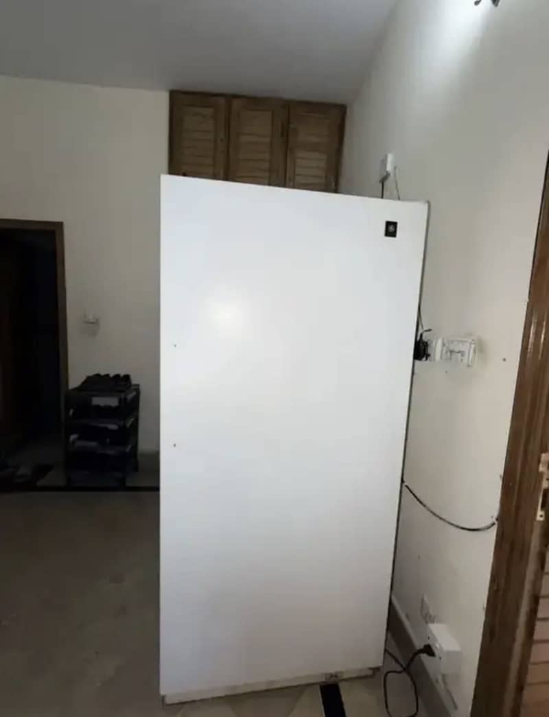 VERTICAL STANDING DEEP FREEZER 2
