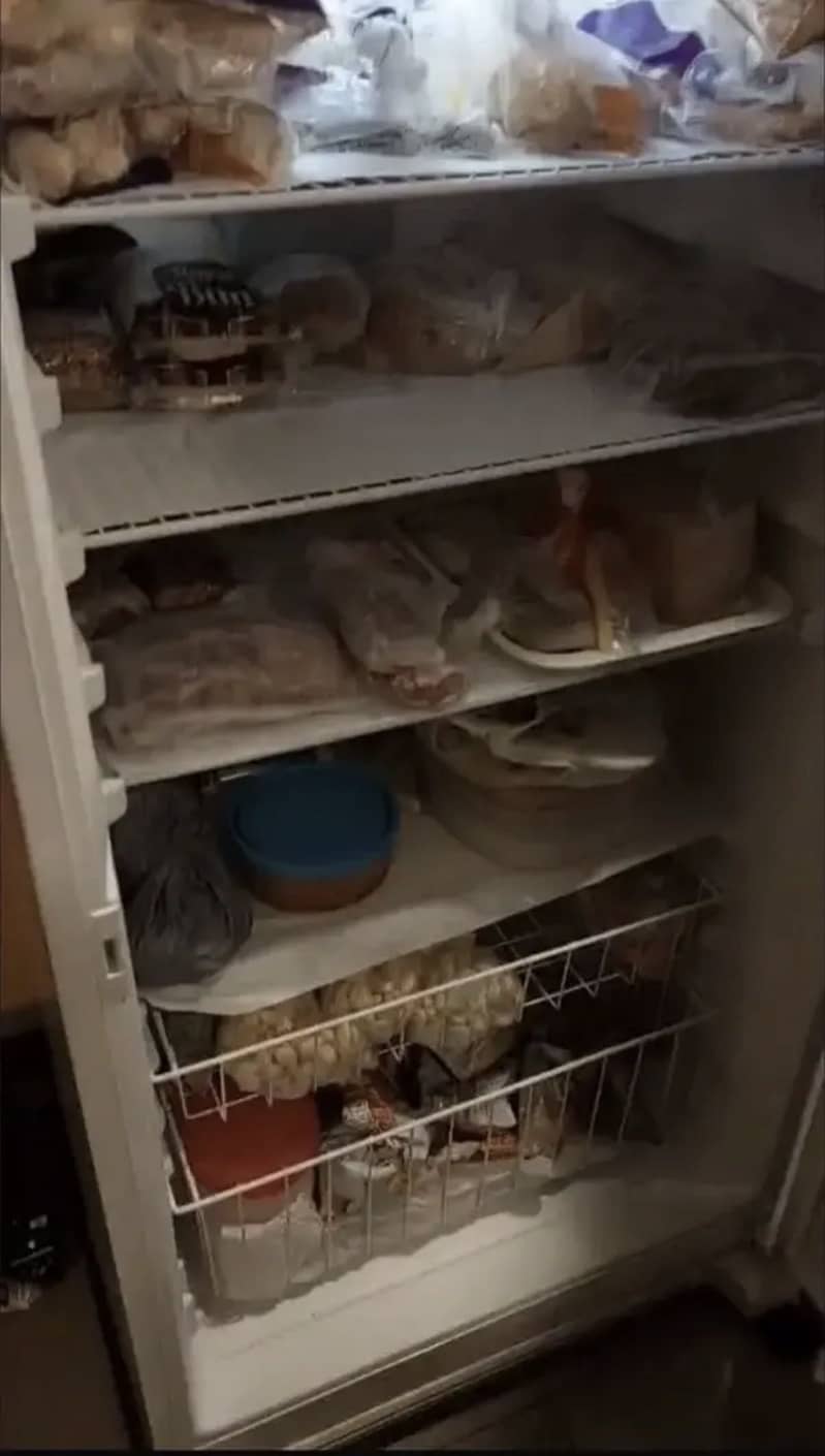VERTICAL STANDING DEEP FREEZER 3