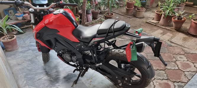 Benelli 180s Red n Black (Real head turner)