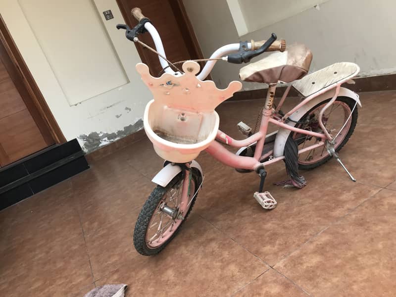 Cycle 2