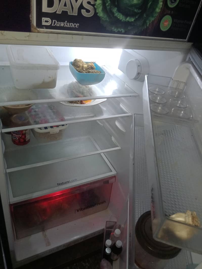 freezer 2