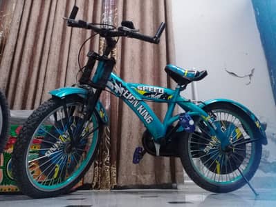 SPEED BIKE LION KING GREAT FOR DAILY USE