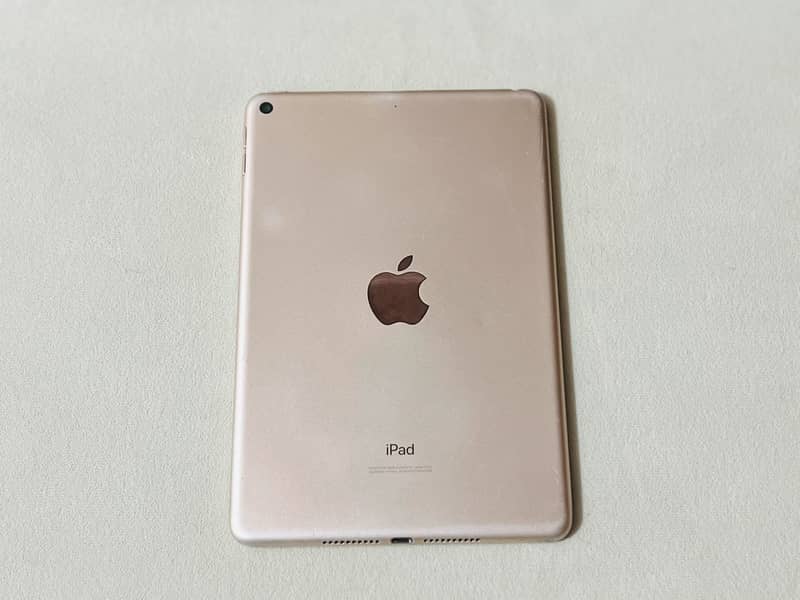 Ipad mini 5 1