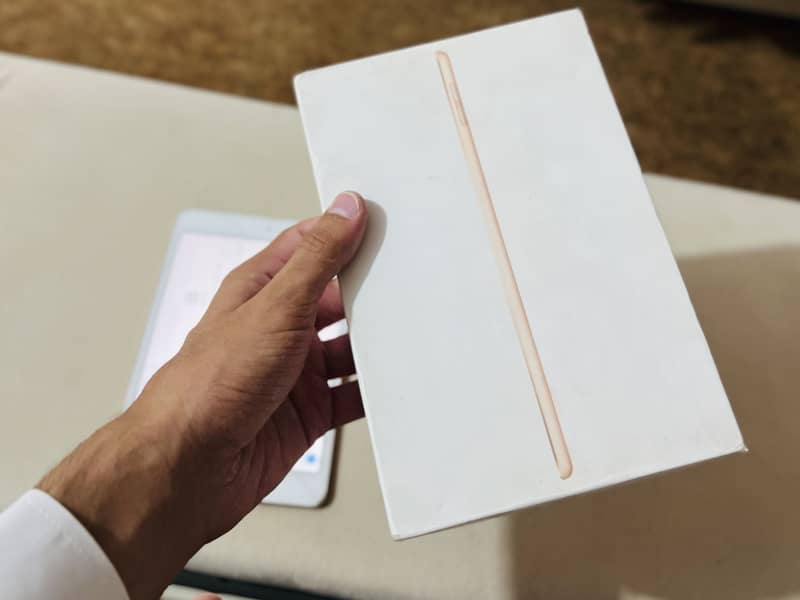 Ipad mini 5 6
