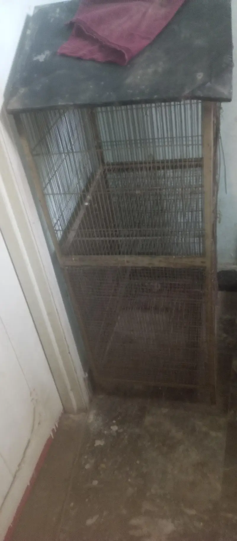metal cage all ok ha — photo 2