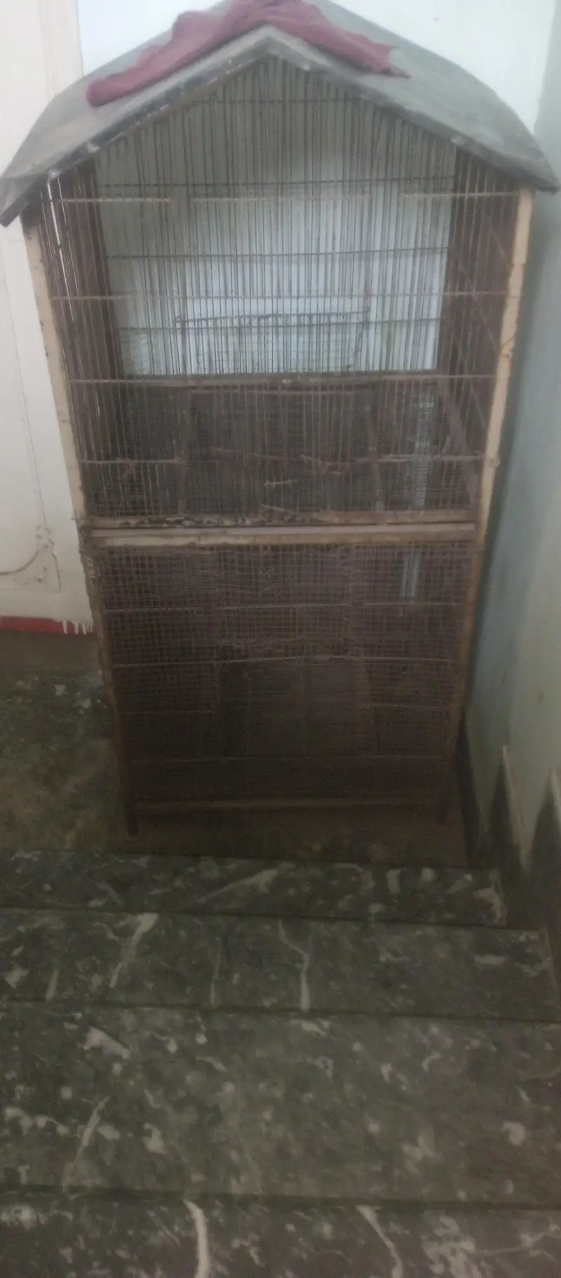 metal cage all ok ha — photo 3