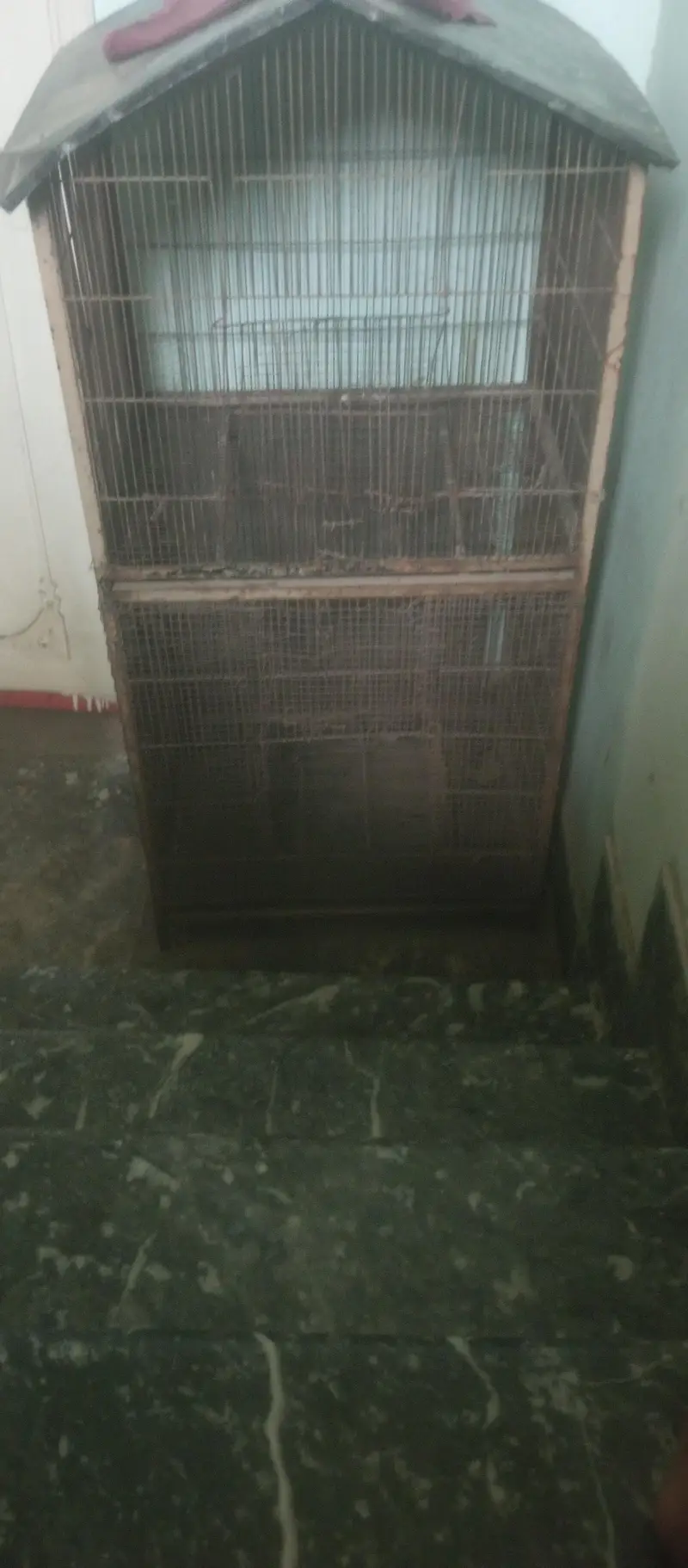metal cage all ok ha — photo 4