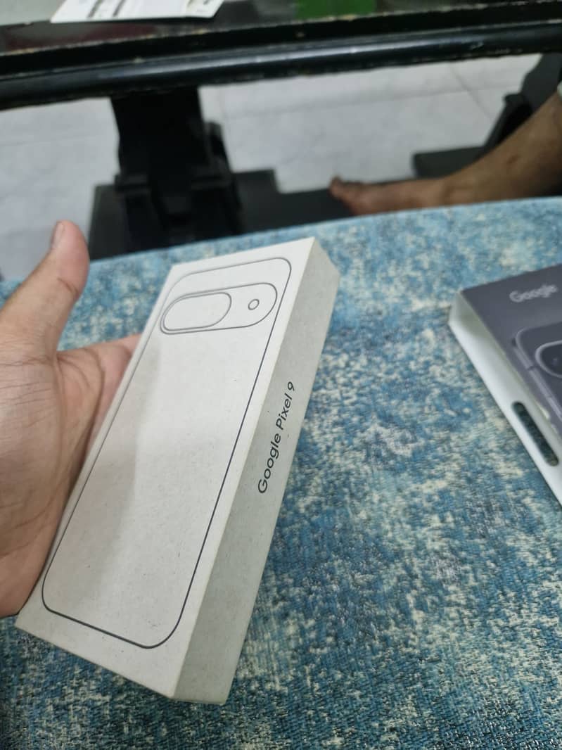Google Pixel 9 1