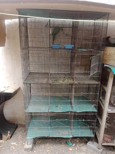 12 cages pinjra
