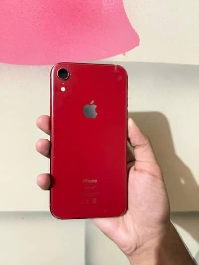 iPhone Xr 64gb Non Pta Waterpack