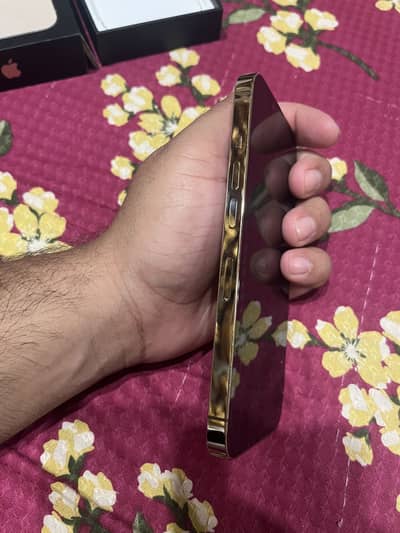 Apple iPhone 13 Pro pta approved