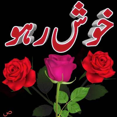 mujhe fast food job ke zarorat ha  03497927226