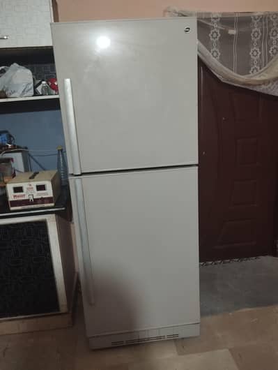pel full size fridge