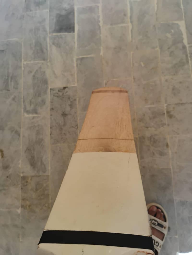 original coco nut bat 1