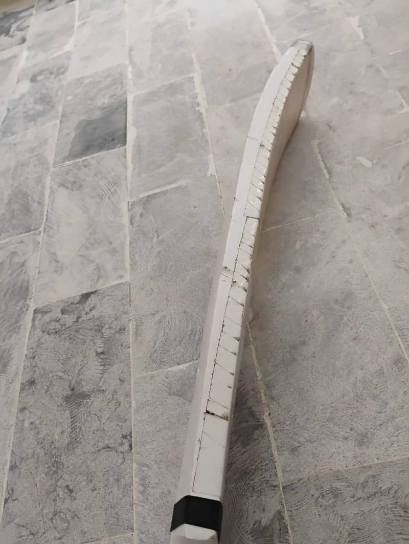 original coco nut bat 2