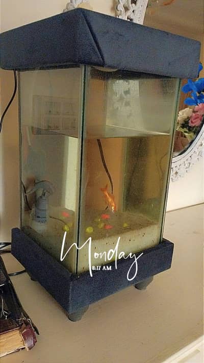 Fish Aquarium Tower-Shaped (2 Towers)