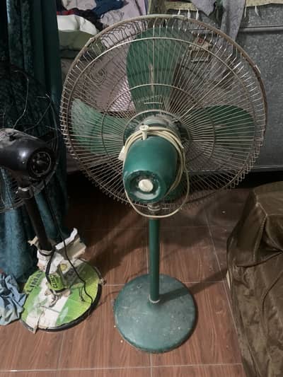 Farshi Fan