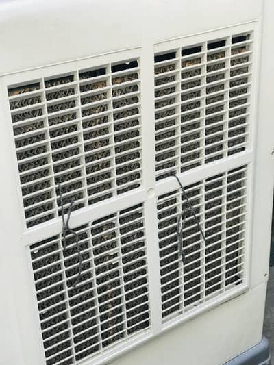 Air cooler