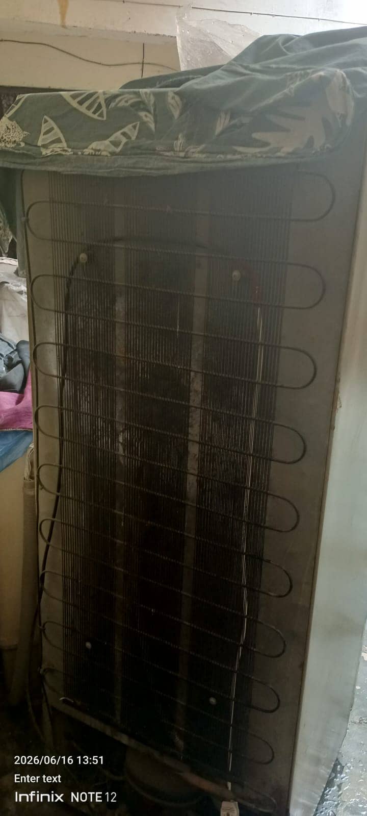 Freezer 3