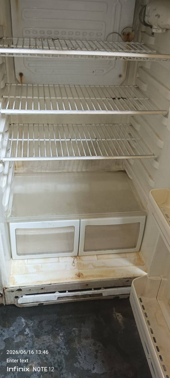 Freezer 4