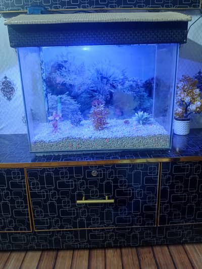 Fish aquarium urgent  sale. . .