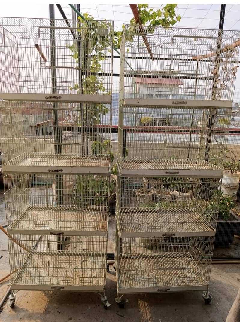 Cages 0