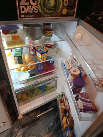 Dawlence energy saving fridge