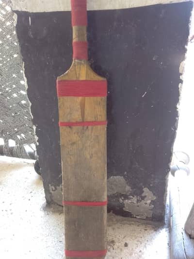 coconut used bat in medium selling for 1000