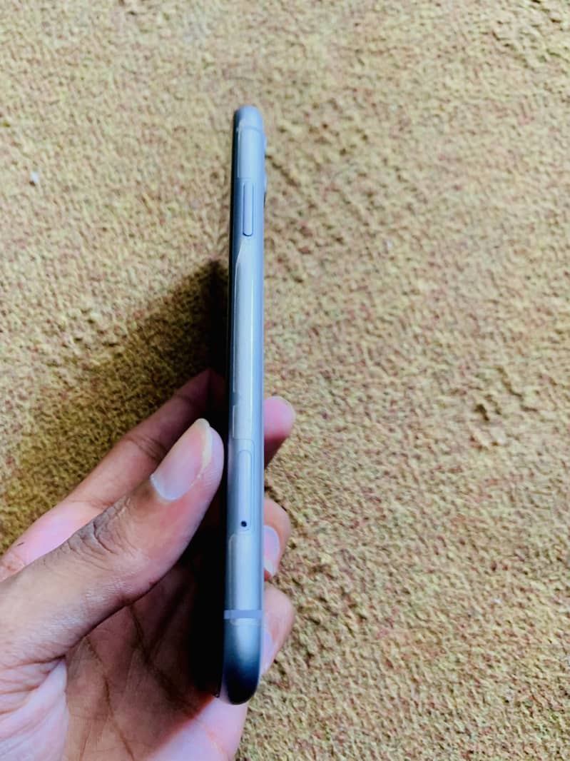 Apple 6