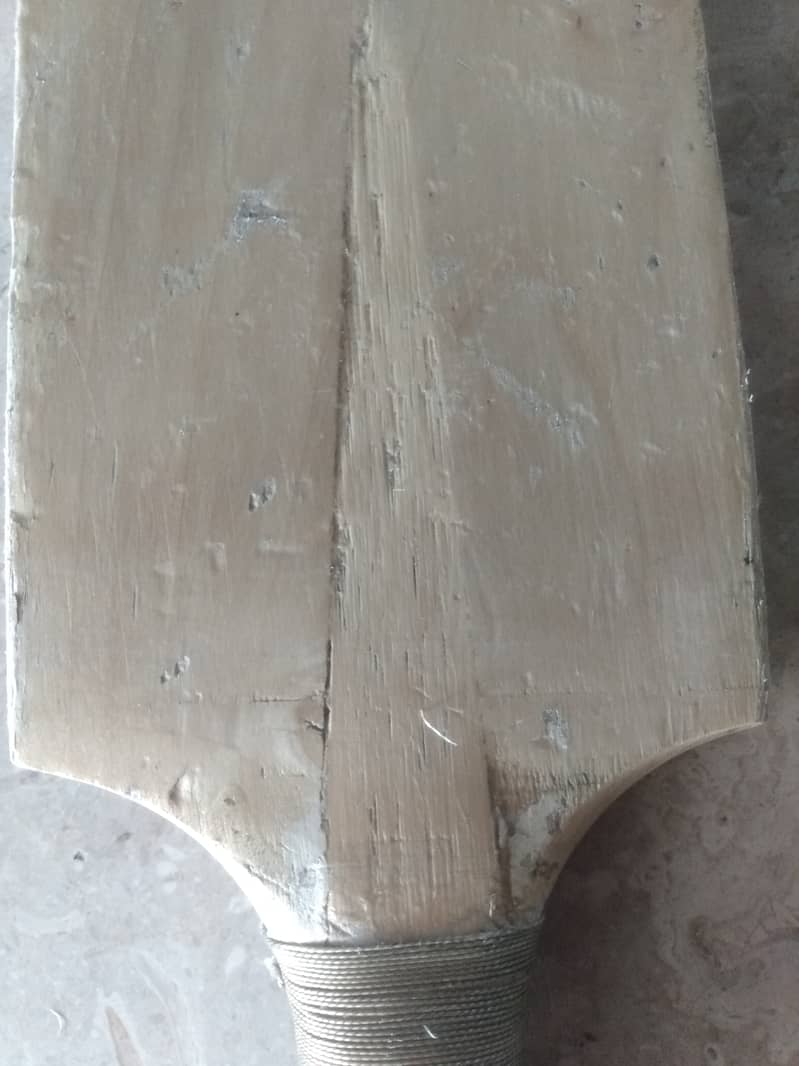 Cricket bat 1