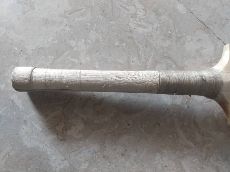 Cricket bat 2