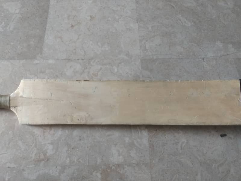 Cricket bat 3
