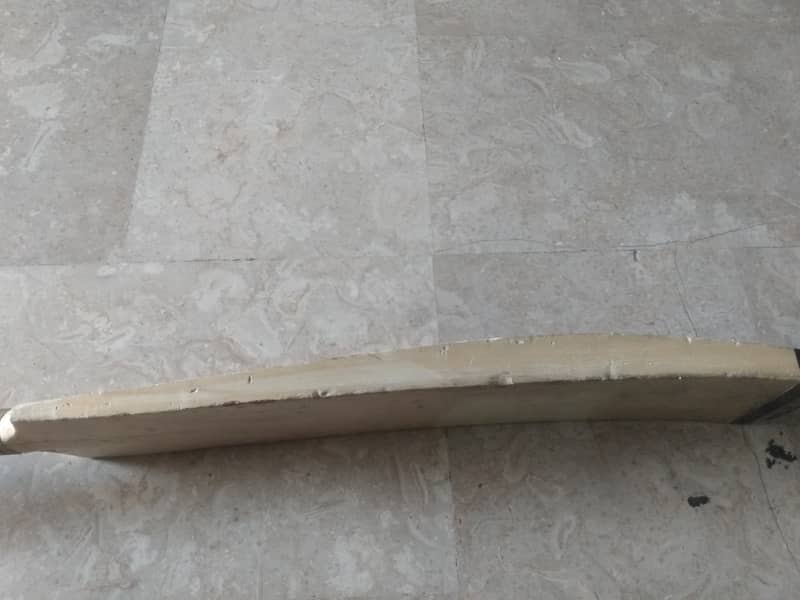 Cricket bat 4