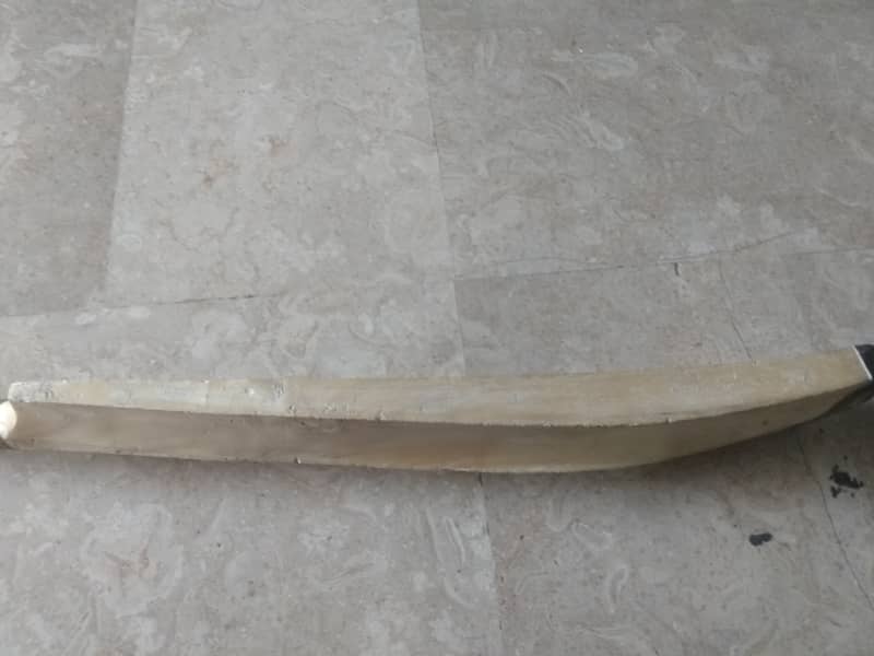 Cricket bat 5
