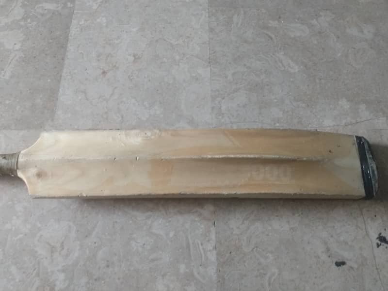 Cricket bat 6