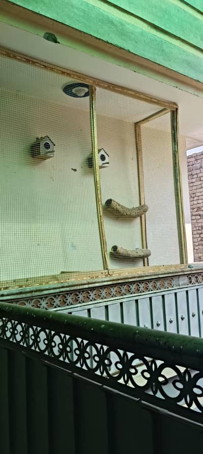 cage fixed in wall