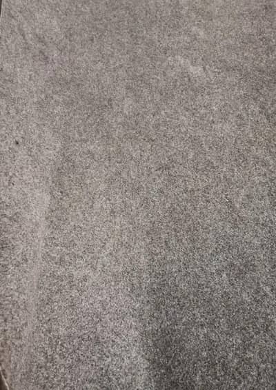 carpets. . . good condition