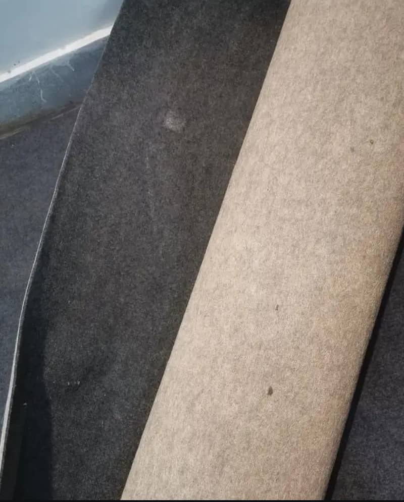 carpets. . . good condition 3