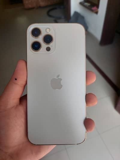 Apple iPhone 12 Pro Max
