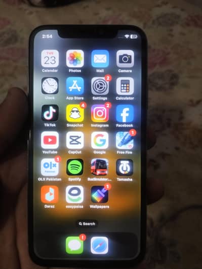 Apple iPhone X