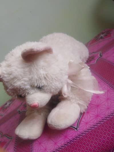 a beautiful kitty in new condition 